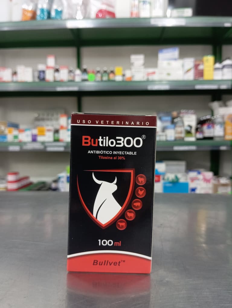 WhatsApp Image 2026-03-18 at 8.40.56 AM (1)