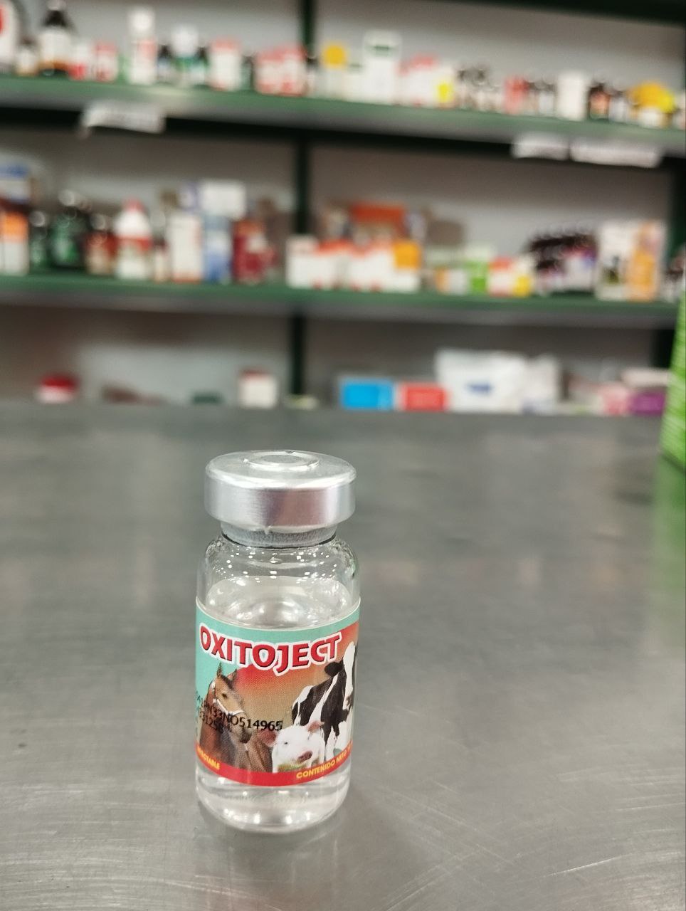 photo_4922580224491761097_y