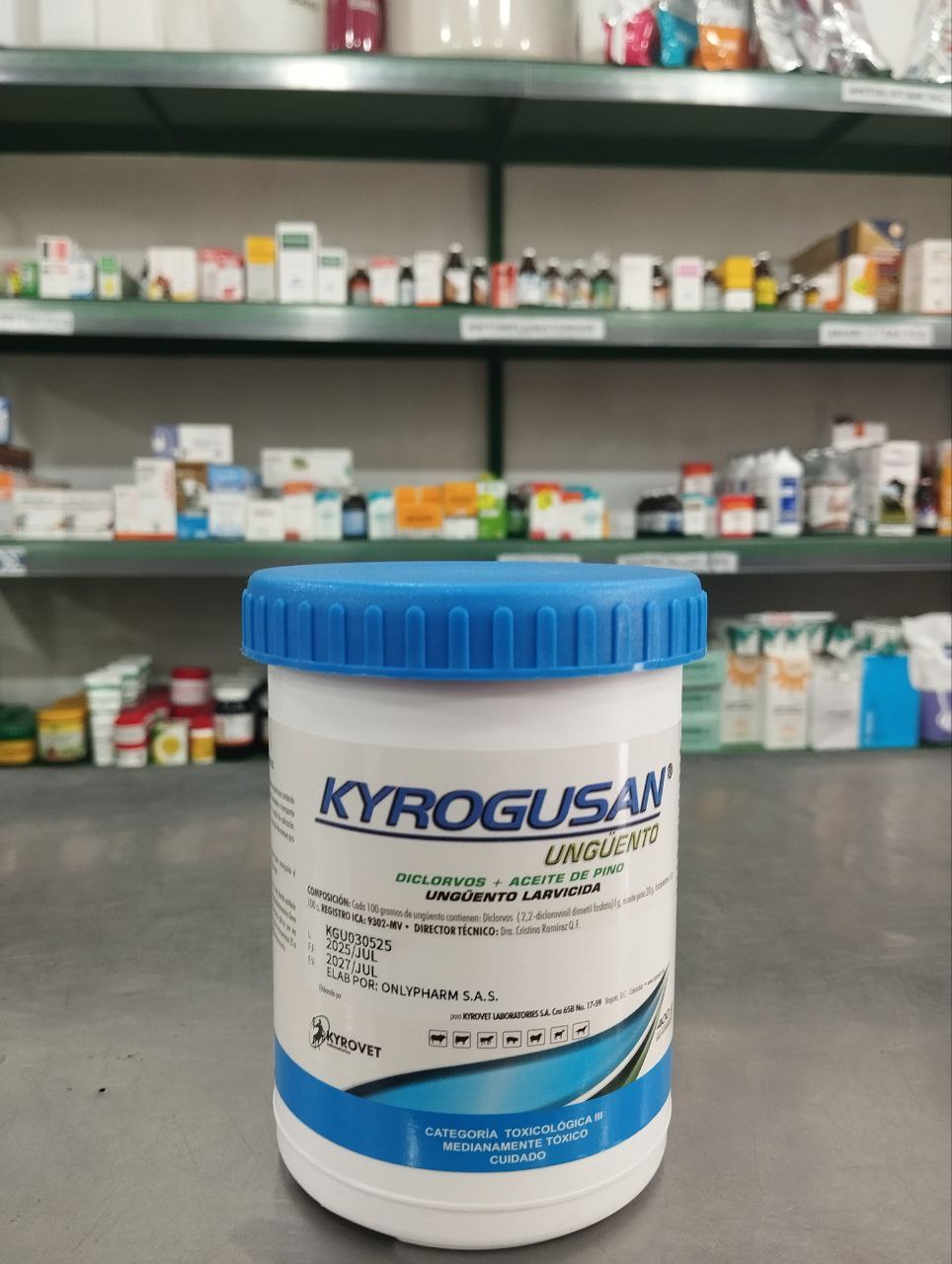 photo_5109415334845811602_y