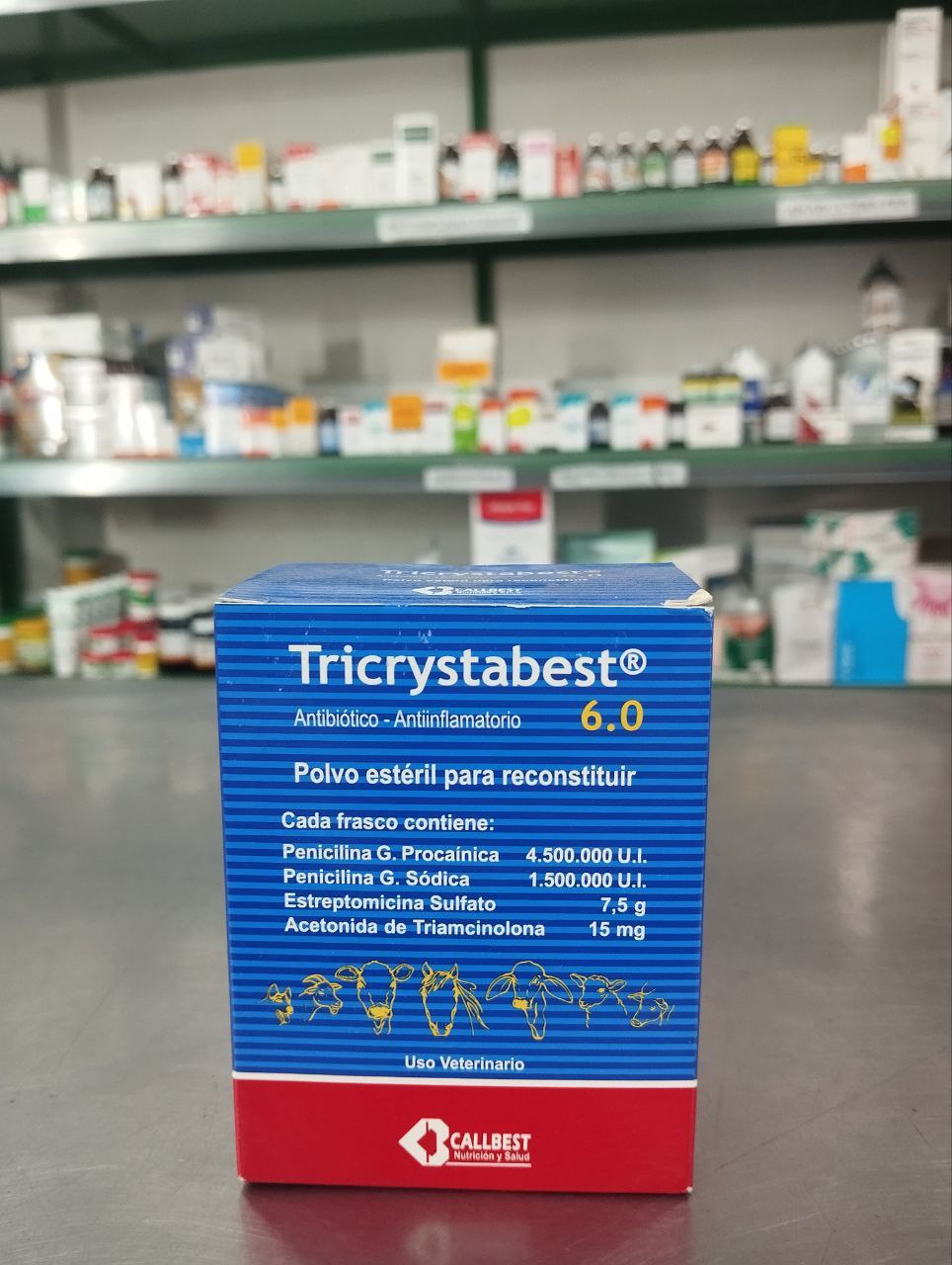 5003740211443338005_121