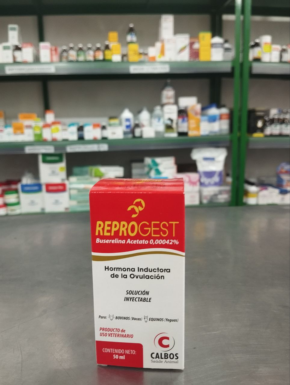 5012529174819834739_121