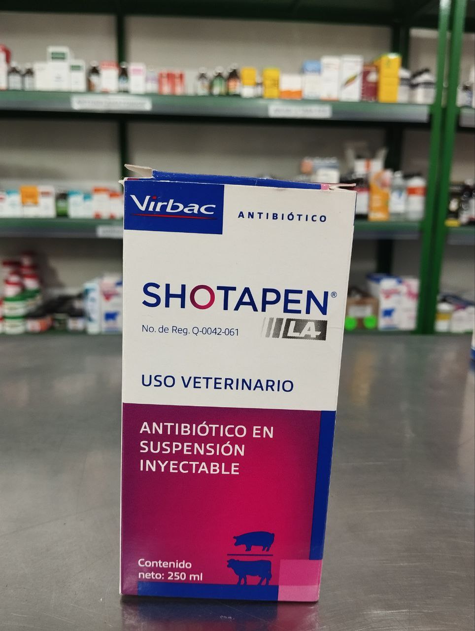 5174774115636808570_121