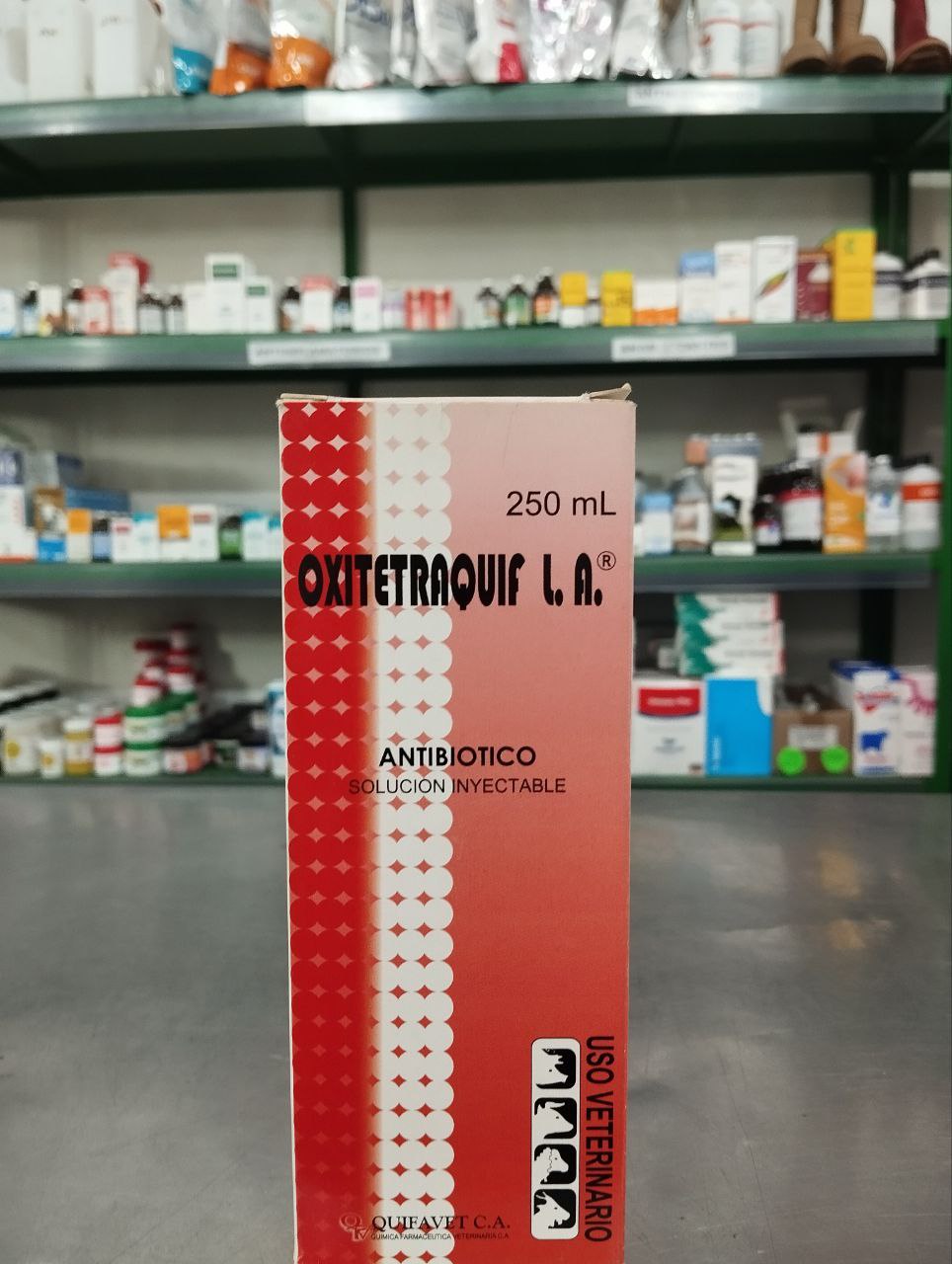 5174774115636808579_121