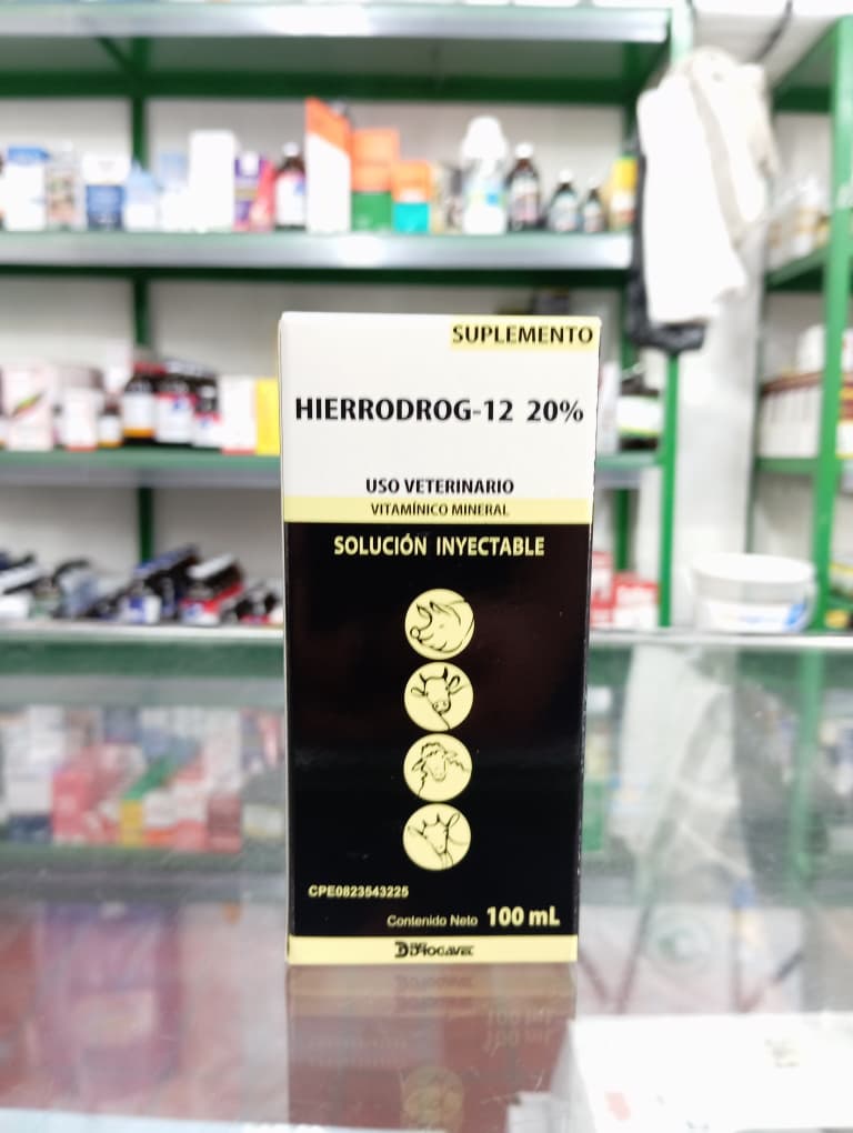 WhatsApp Image 2026-02-02 at 9.27.08 AM (1)