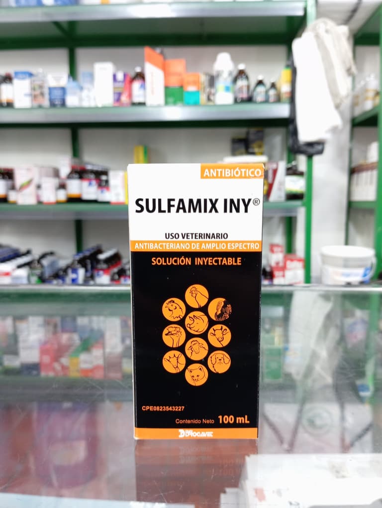 WhatsApp Image 2026-02-02 at 9.27.06 AM (1)